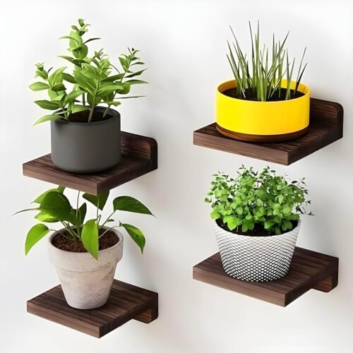 Engineered Wood Mini Floating Wall Shelves Set of 4 | Square Wall Mounted Display Shelves