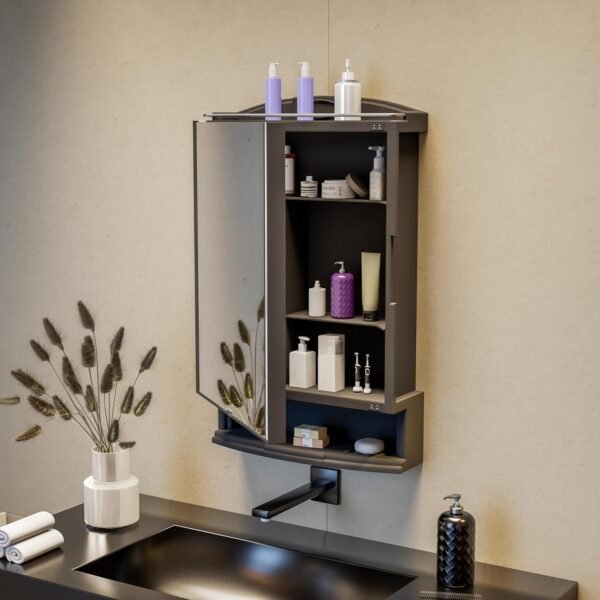 Happer Wall Mounted Bathroom Storage Cabinet with Mirror Plastic Bathroom Organizer Wall Mounted Bathroom Storage Cabinet with Mirror | Plastic Bathroom Organizer Cabinet | Black