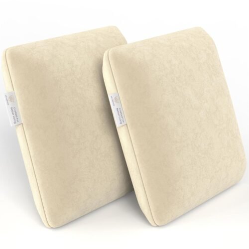 Memory Foam Square Cushion Set (16 × 16 × 4 Inches, Pack of 2, Cream, Velvet Cover)